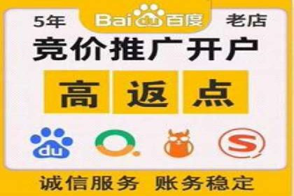 搜索引擎营销（SEM）托管服务在某企业的成功应用